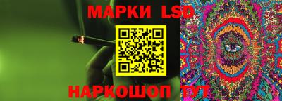 шишки Будённовск