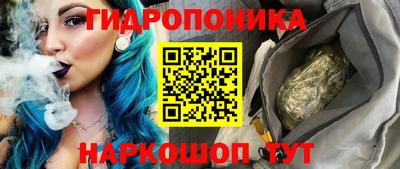 шишки Будённовск