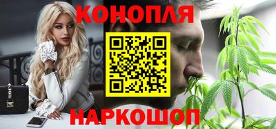 шишки Будённовск