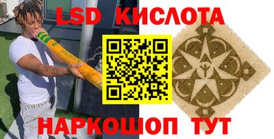 шишки Будённовск